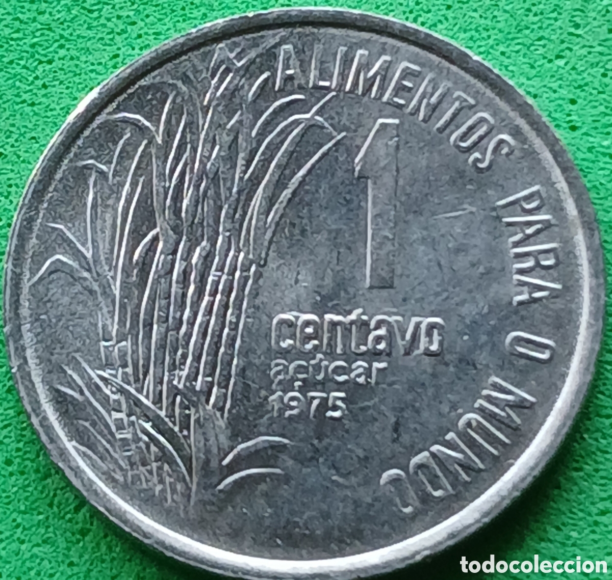 Monedas antiguas de Am&eacute;rica: Brasil 1 centavo 1975 km#585 FAO ca&ntilde;a de az&uacute;car