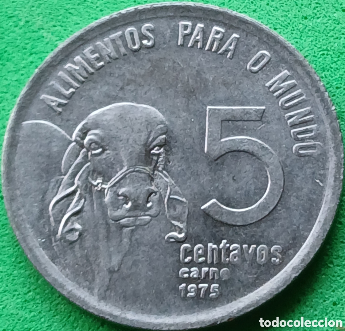 Monedas antiguas de Am&eacute;rica: Brasil 5 centavos 1975 km#587 sin ondas, Ceb&uacute;- FAO.