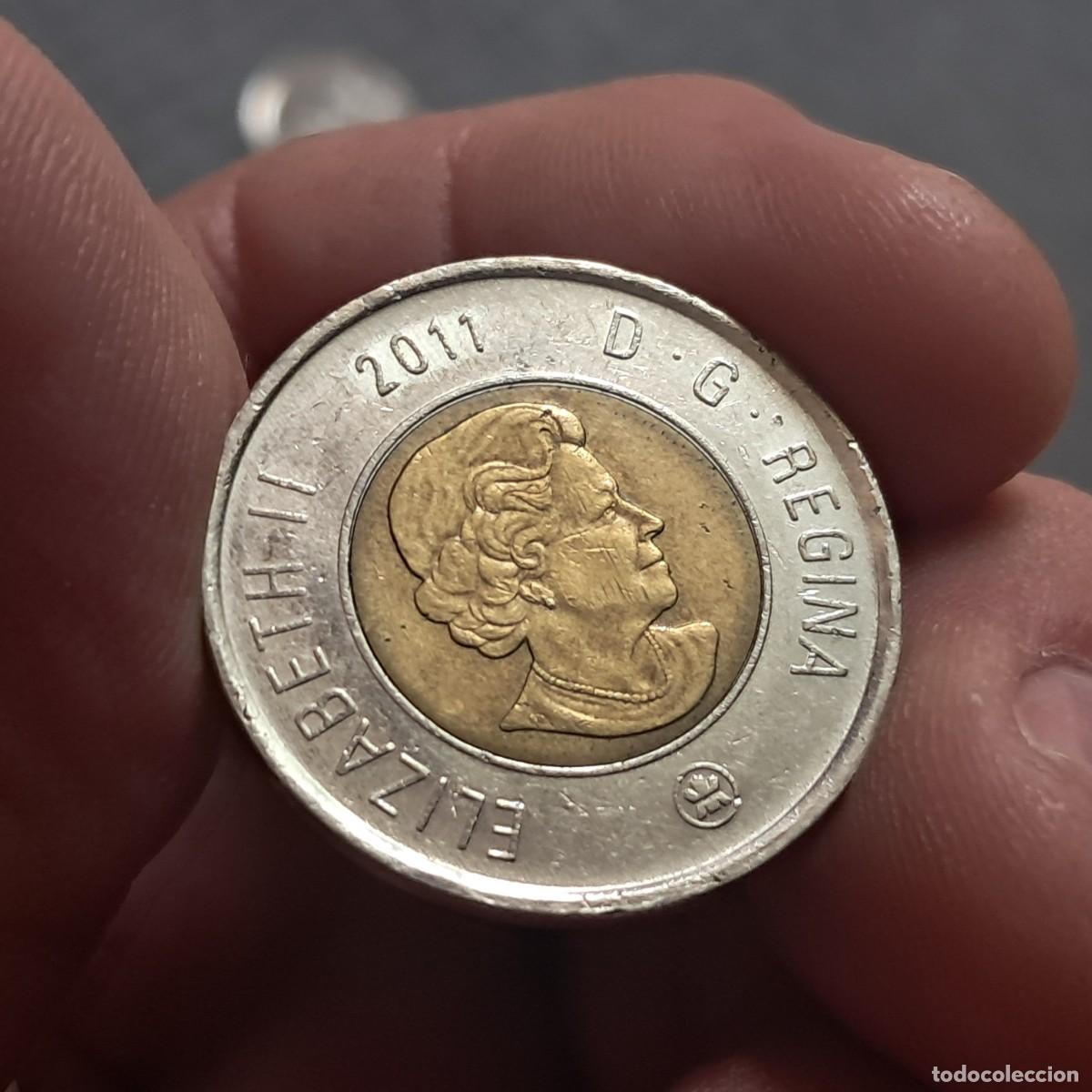 Monedas antiguas de Am&eacute;rica: MONEDA CANAD&Aacute; 2 D&Oacute;LARES 2011 Logo VF - Elizabeth II (Oso Polar, fecha en la parte superior) KM# 837