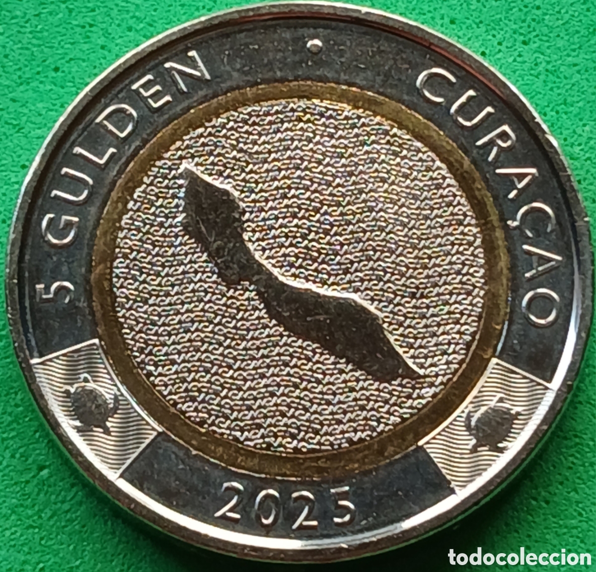 Monedas antiguas de Am&eacute;rica: Curazao 5 gulden 2025 UC#7