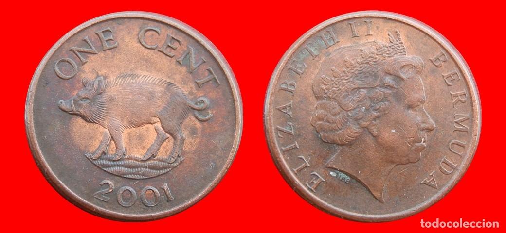 Monedas antiguas de Am&eacute;rica: 1 CENTAVO 2001 BERMUDA-153318