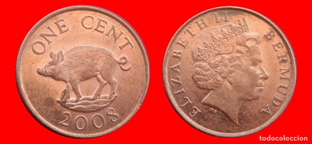 Monedas antiguas de Am&eacute;rica: 1 CENTAVO 2008 BERMUDA-153319