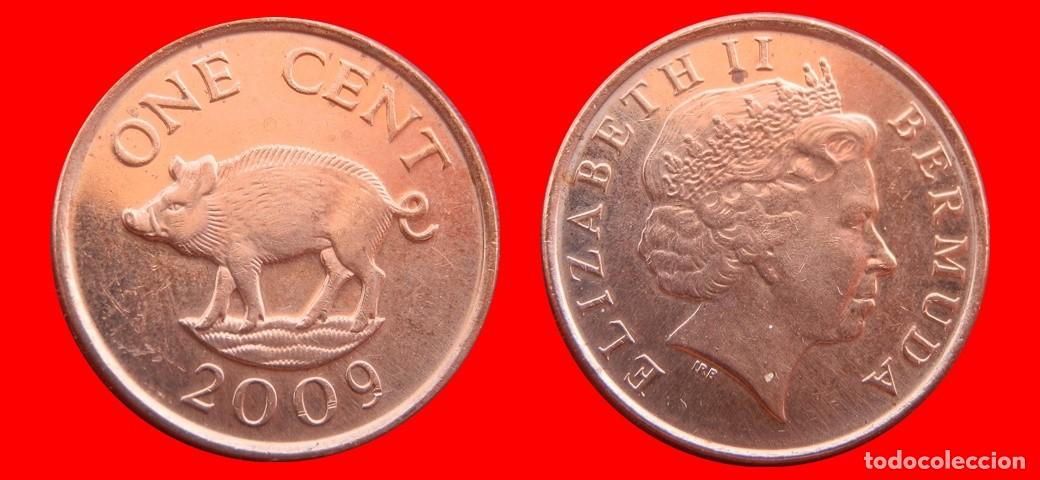 Monedas antiguas de Am&eacute;rica: 1 CENTAVO 2009 BERMUDA-153320
