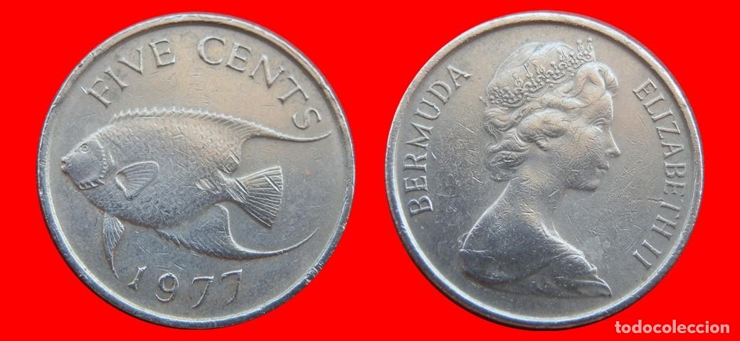 Monedas antiguas de Am&eacute;rica: 5 CENTAVOS 1977 BERMUDA-153321