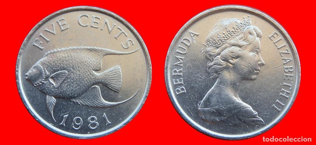 Monedas antiguas de Am&eacute;rica: 5 CENTAVOS 1981 BERMUDA-153322