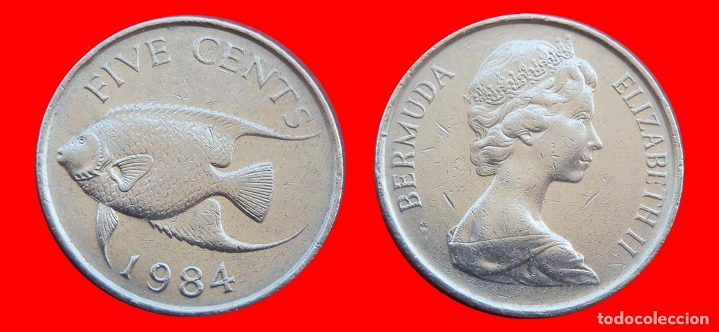 Monedas antiguas de Am&eacute;rica: 5 CENTAVOS 1984 BERMUDA-153323