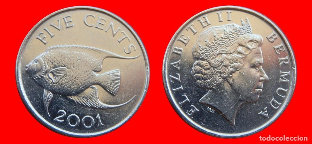 Monedas antiguas de Am&eacute;rica: 5 CENTAVOS 2001 BERMUDA-153326