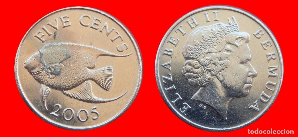 Monedas antiguas de Am&eacute;rica: 5 CENTAVOS 2005 BERMUDA-153328