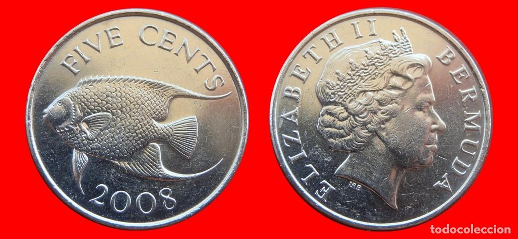 Monedas antiguas de Am&eacute;rica: 5 CENTAVOS 2008 BERMUDA-153329