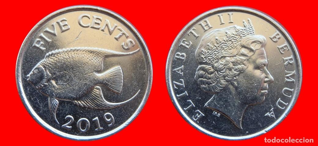 Monedas antiguas de Am&eacute;rica: 5 CENTAVOS 2019 BERMUDA-153330