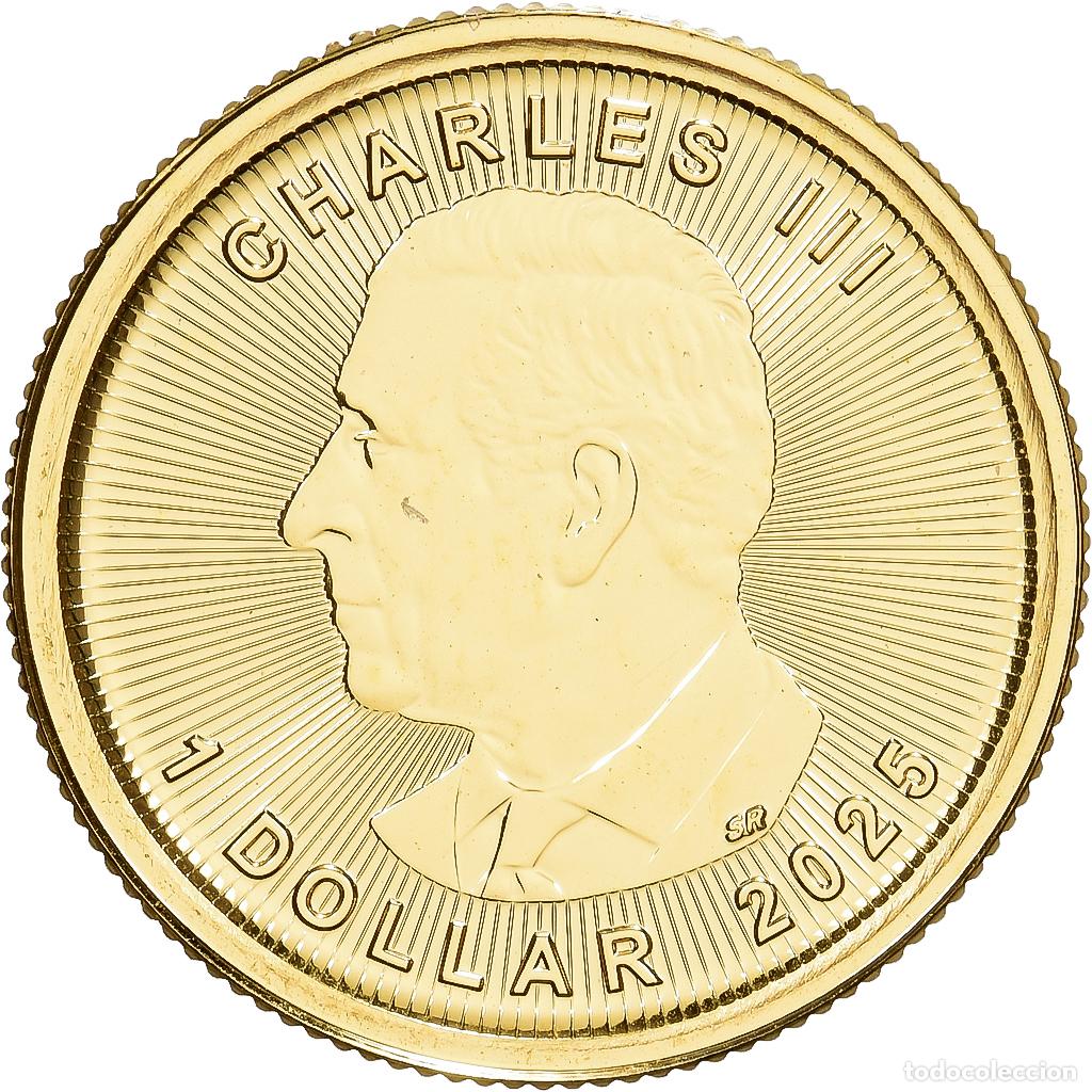 Monedas antiguas de Am&eacute;rica: [#1540039] Canad&aacute;, 1/20 Oz, Maple Leaf, 2025, Oro, FDC