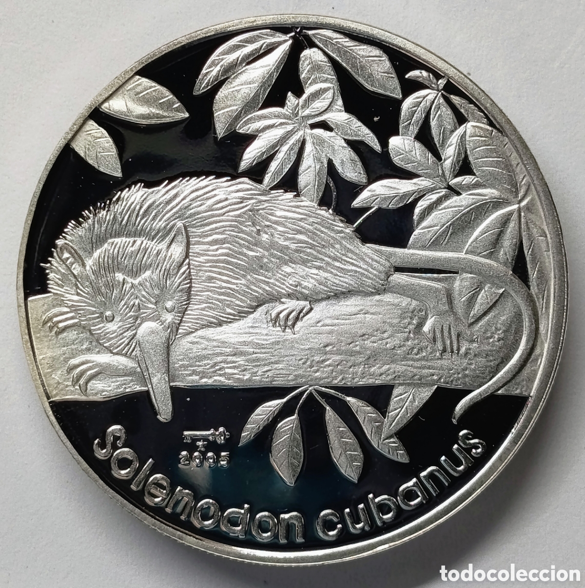 Monedas antiguas de Am&eacute;rica: CUBA. MONEDA DE 10 PESOS 2005. &ldquo;SOLENODON CUBANUS&rdquo;. PLATA. PROOF. 20 grs. ,925. RARA