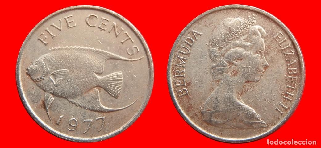 Monedas antiguas de Am&eacute;rica: 5 CENTAVOS 1977 BERMUDA-153898