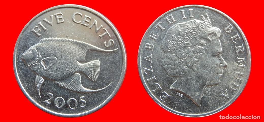 Monedas antiguas de Am&eacute;rica: 5 CENTAVOS 2005 BERMUDA-153901