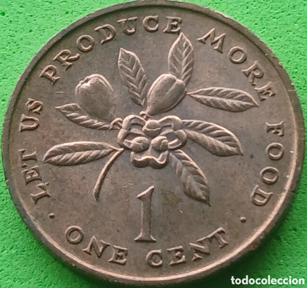 Monedas antiguas de Am&eacute;rica: Jamaica one cent 1971 km#52 FAO