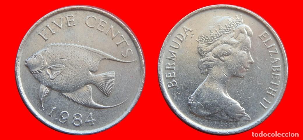 Monedas antiguas de Am&eacute;rica: 5 CENTAVOS 1984 BERMUDA-154004