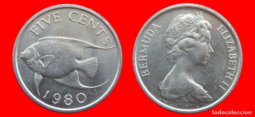 Monedas antiguas de Am&eacute;rica: 5 CENTAVOS 1980 BERMUDA-154012