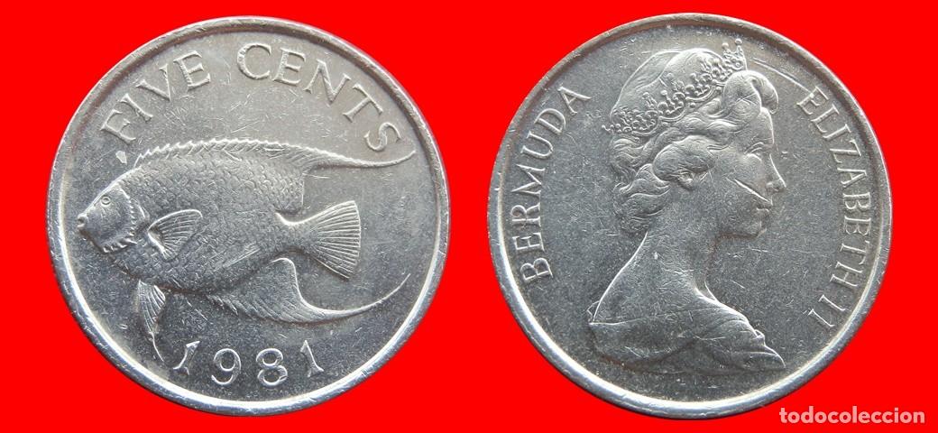 Monedas antiguas de Am&eacute;rica: 5 CENTAVOS 1981 BERMUDA-154013