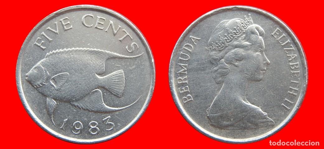 Monedas antiguas de Am&eacute;rica: 5 CENTAVOS 1983 BERMUDA-154014