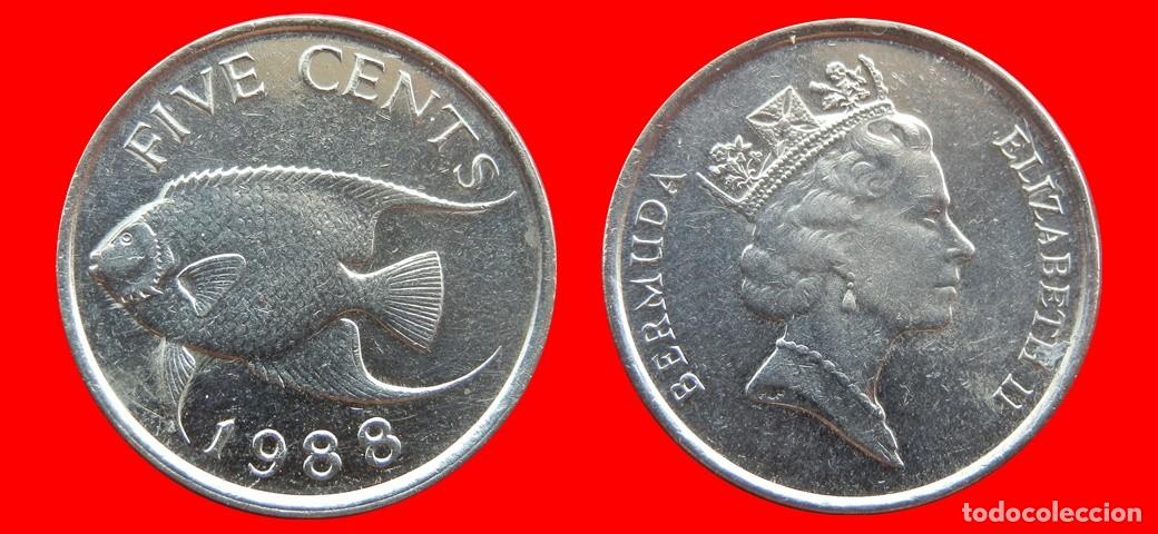 Monedas antiguas de Am&eacute;rica: 5 CENTAVOS 1988 BERMUDA-154016