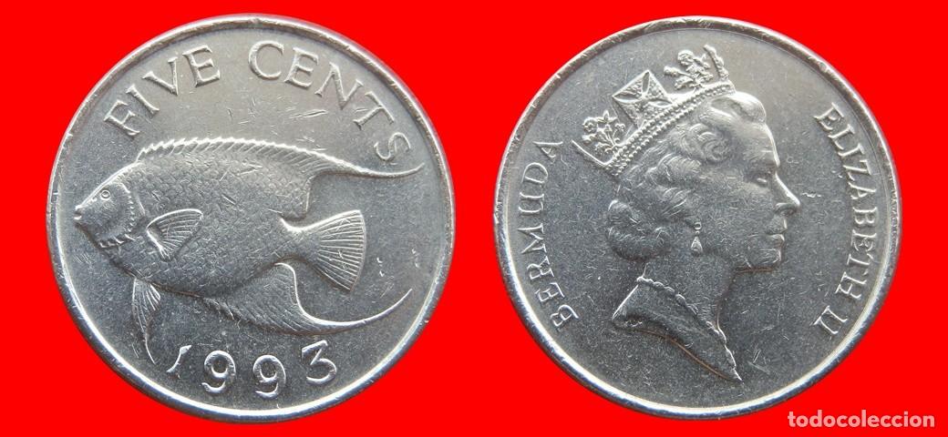 Monedas antiguas de Am&eacute;rica: 5 CENTAVOS 1993 BERMUDA-154018
