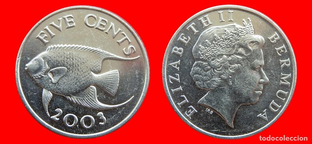 Monedas antiguas de Am&eacute;rica: 5 CENTAVOS 2003 BERMUDA-154021
