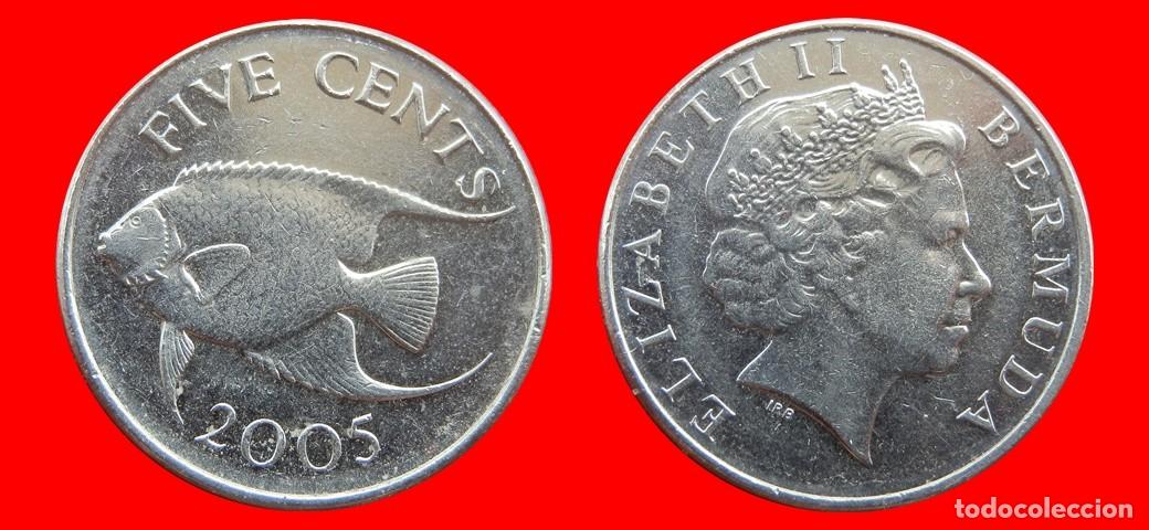 Monedas antiguas de Am&eacute;rica: 5 CENTAVOS 2005 BERMUDA-154022