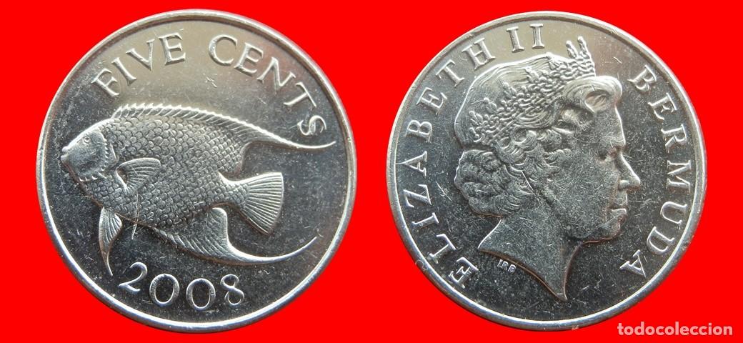 Monedas antiguas de Am&eacute;rica: 5 CENTAVOS 2008 BERMUDA-154023
