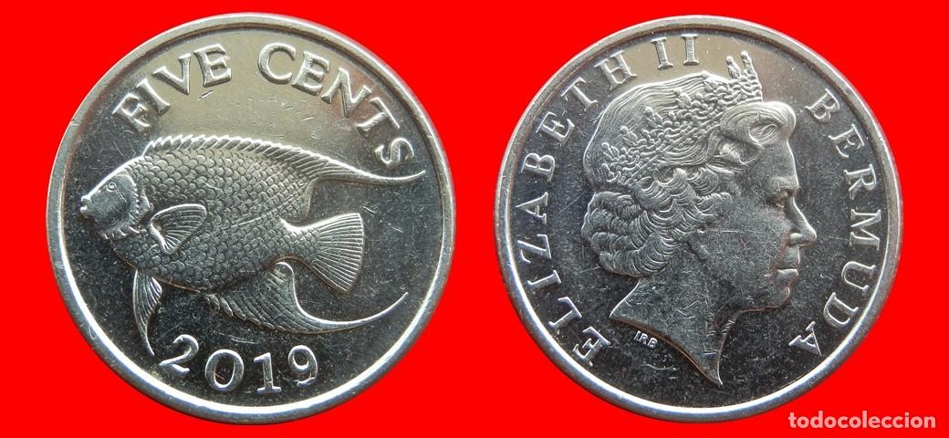 Monedas antiguas de Am&eacute;rica: 5 CENTAVOS 2019 BERMUDA-154024