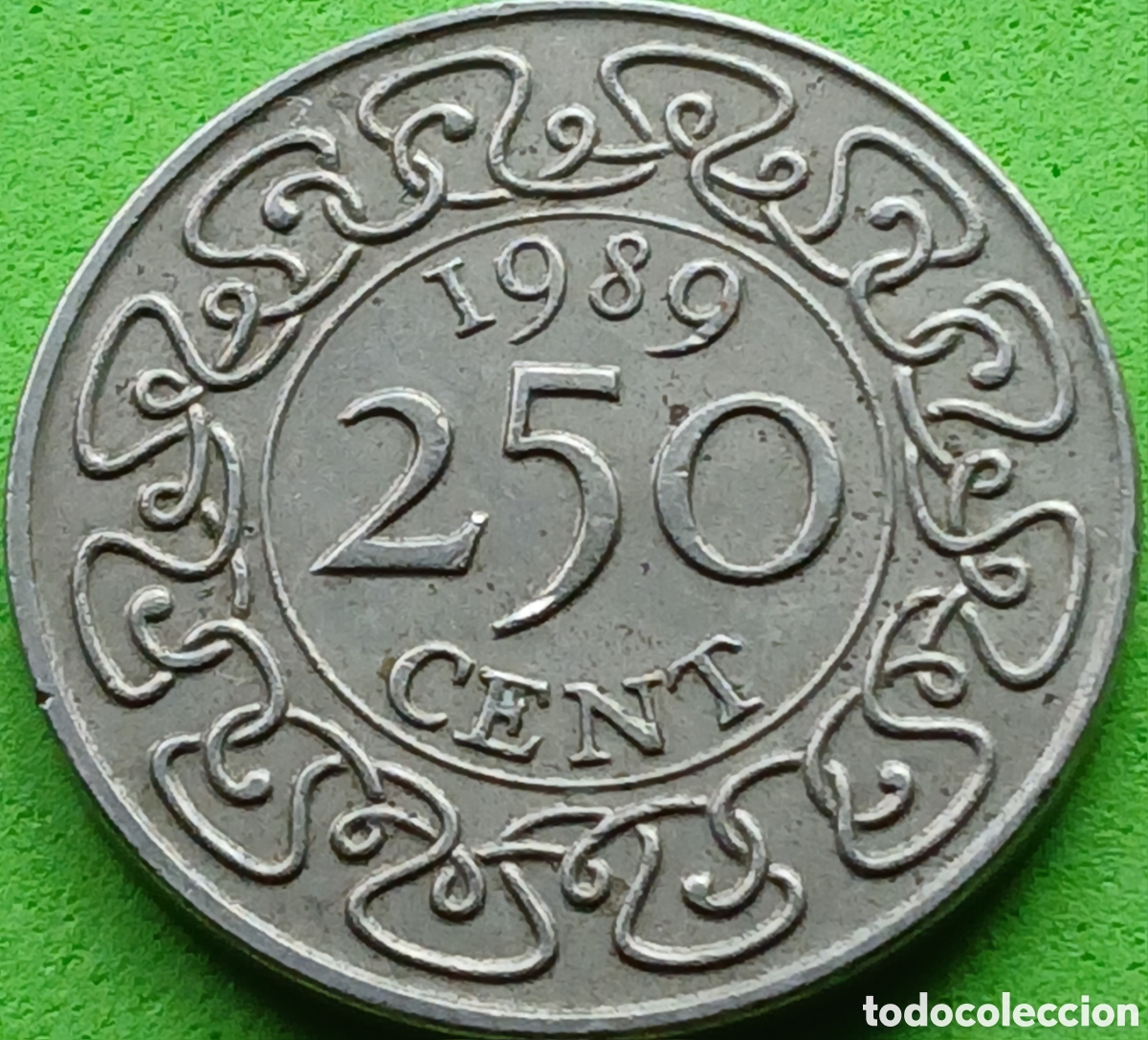 Alte M&uuml;nzen aus Amerika: Surinam 250 cent 1989 km#24