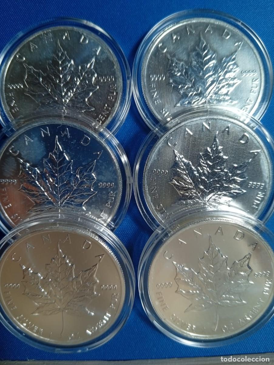 Monedas antiguas de Am&eacute;rica: 6 onzas de plata 9999 Maple Leaf a&ntilde;o: 2013