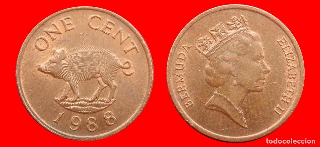 Monedas antiguas de Am&eacute;rica: 1 CENTAVO 1988 BERMUDA-154184