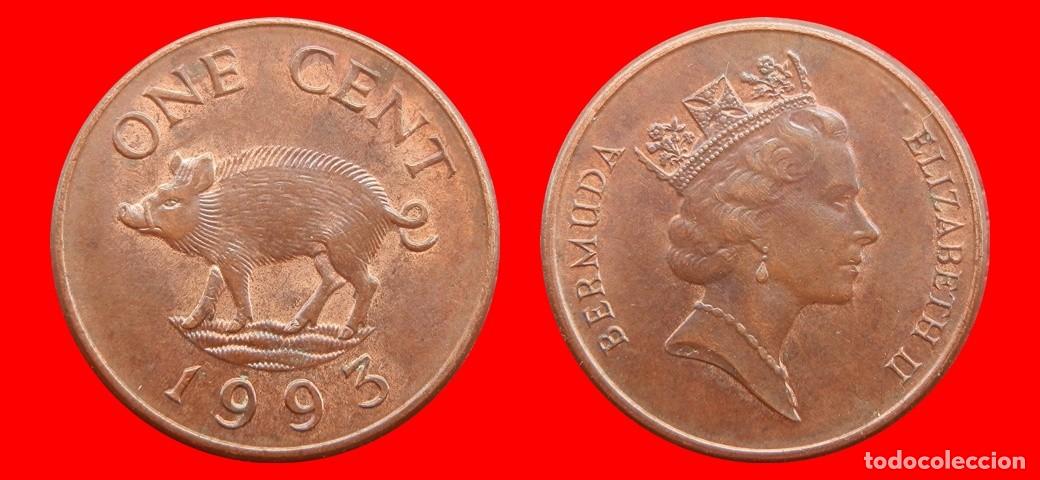 Monedas antiguas de Am&eacute;rica: 1 CENTAVO 1993 BERMUDA-154185