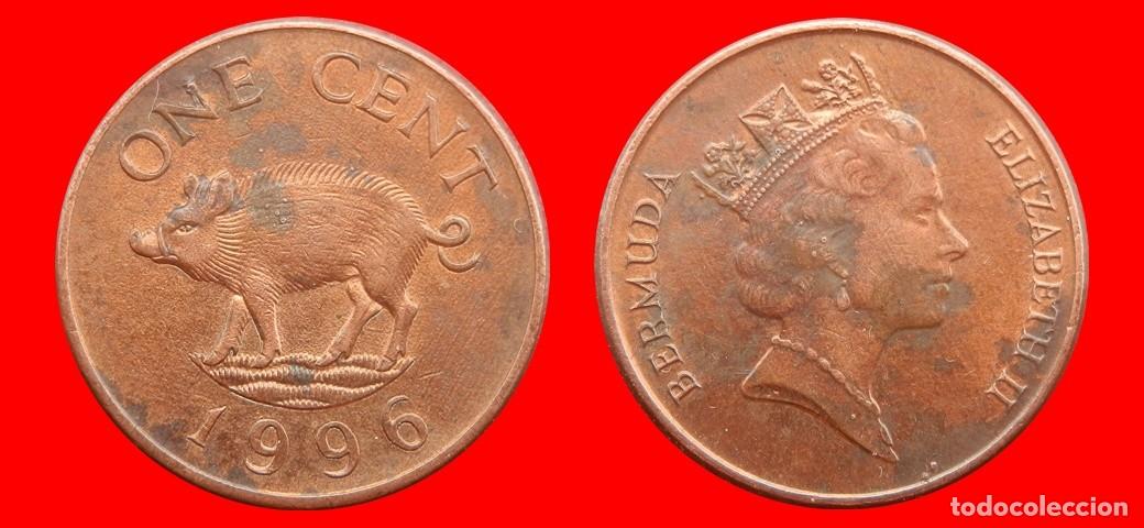 Monedas antiguas de Am&eacute;rica: 1 CENTAVO 1996 BERMUDA-154186