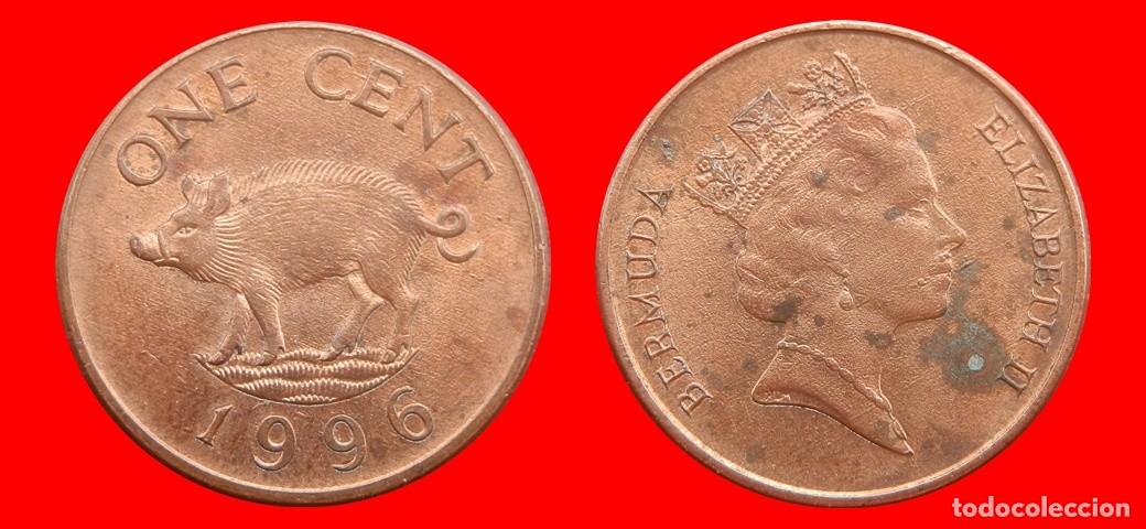 Monedas antiguas de Am&eacute;rica: 1 CENTAVO 1996 BERMUDA-154187