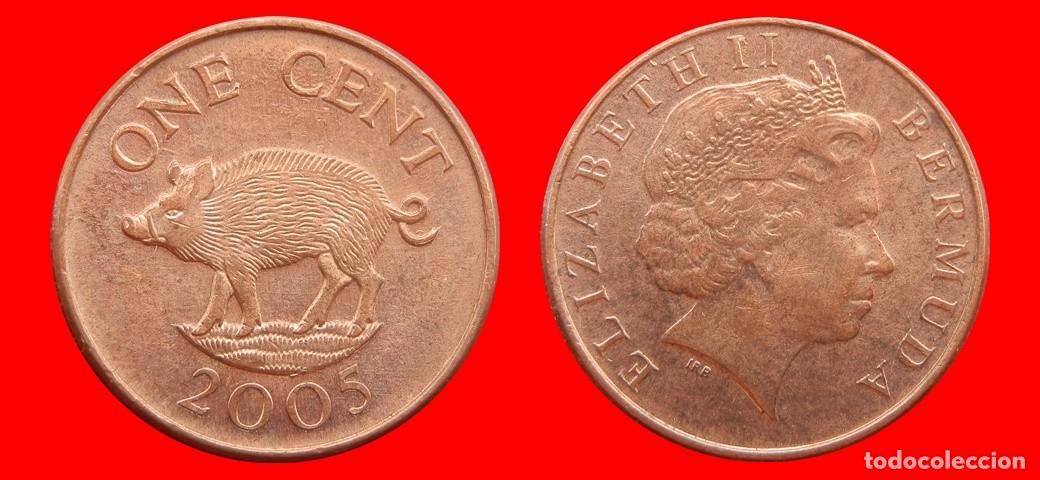 Monedas antiguas de Am&eacute;rica: 1 CENTAVO 2005 BERMUDA-154188