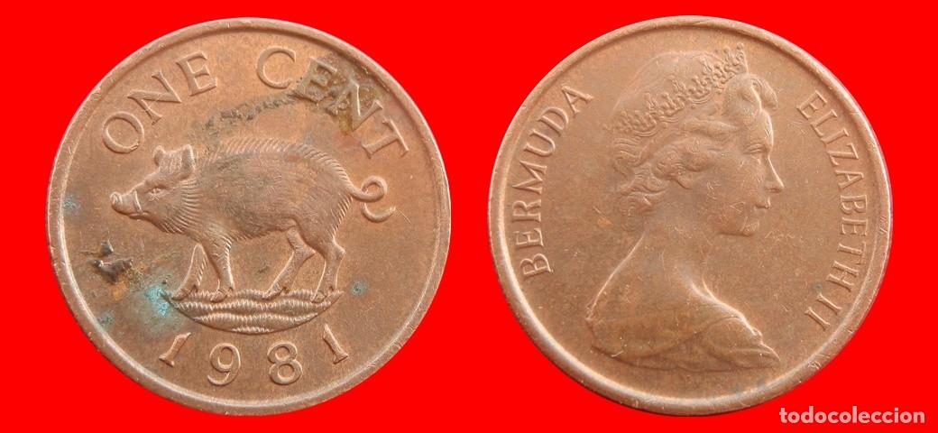 Monedas antiguas de Am&eacute;rica: 1 CENTAVO 1981 BERMUDA-155049