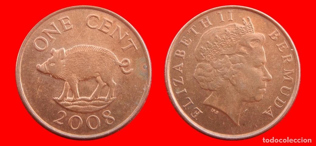 Monedas antiguas de Am&eacute;rica: 1 CENTAVO 2008 BERMUDA-155050