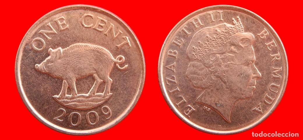 Monedas antiguas de Am&eacute;rica: 1 CENTAVO 2009 BERMUDA-155051
