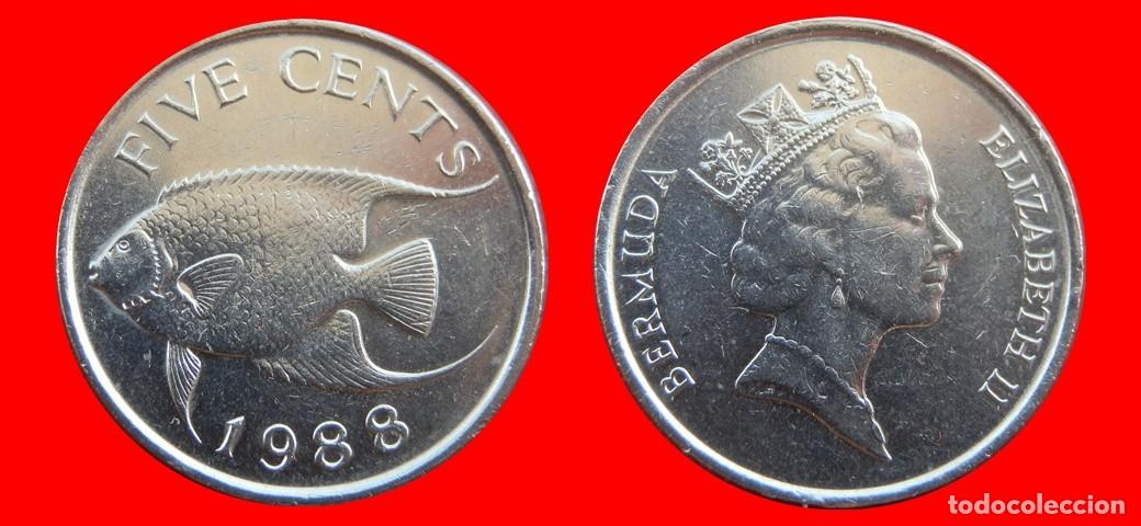 Monedas antiguas de Am&eacute;rica: 5 CENTAVOS 1988 BERMUDA-155053