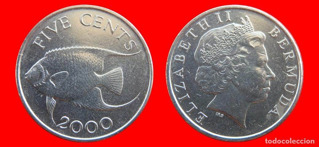 Monedas antiguas de Am&eacute;rica: 5 CENTAVOS 2000 BERMUDA-155056