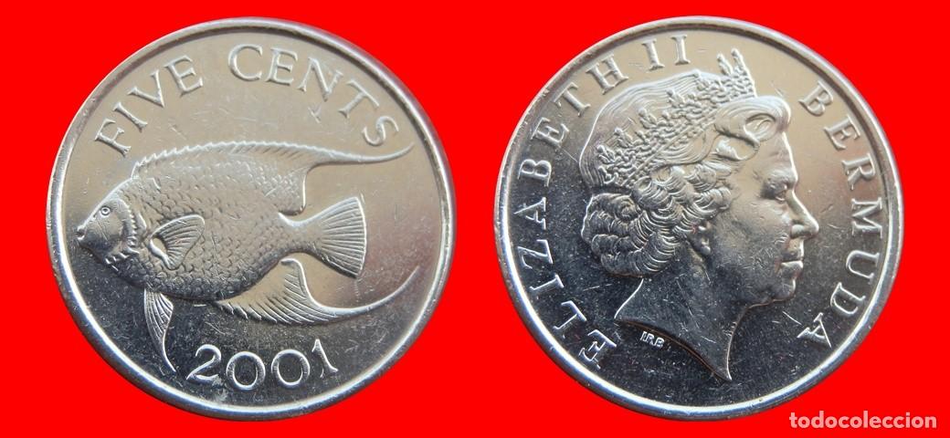 Monedas antiguas de Am&eacute;rica: 5 CENTAVOS 2001 BERMUDA-155057