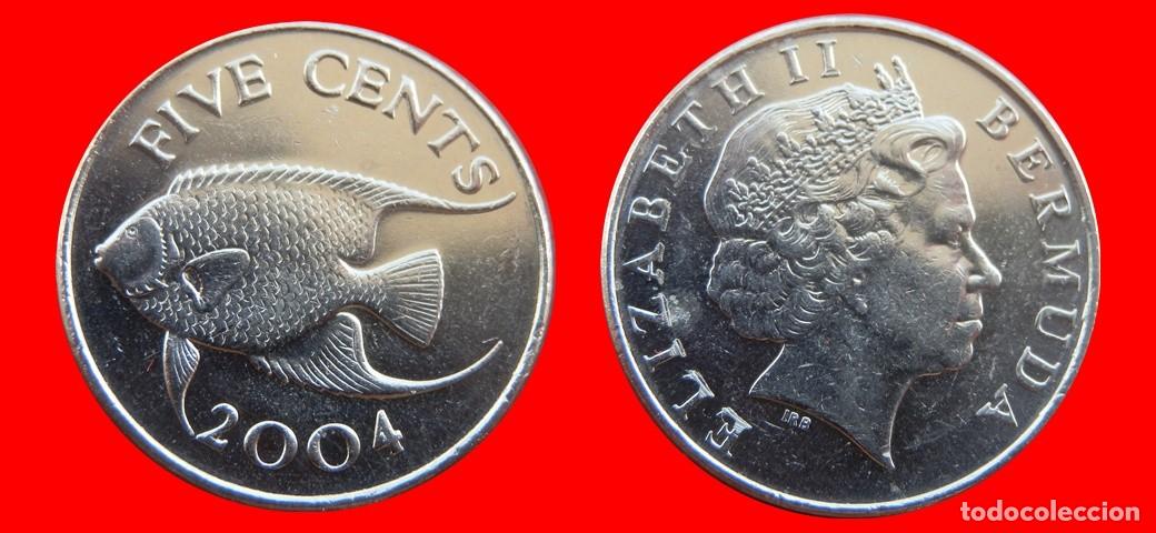 Monedas antiguas de Am&eacute;rica: 5 CENTAVOS 2004 BERMUDA-155058