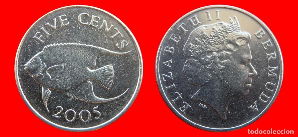 Monedas antiguas de Am&eacute;rica: 5 CENTAVOS 2005 BERMUDA-155059