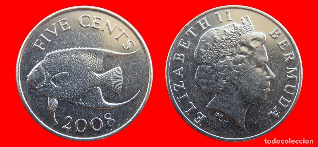 Monedas antiguas de Am&eacute;rica: 5 CENTAVOS 2008 BERMUDA-155060