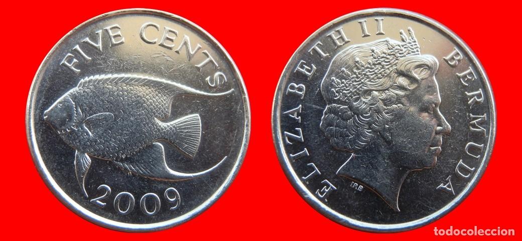 Monedas antiguas de Am&eacute;rica: 5 CENTAVOS 2009 BERMUDA-155061