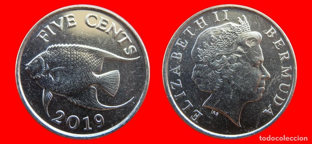 Monedas antiguas de Am&eacute;rica: 5 CENTAVOS 2019 BERMUDA-155062