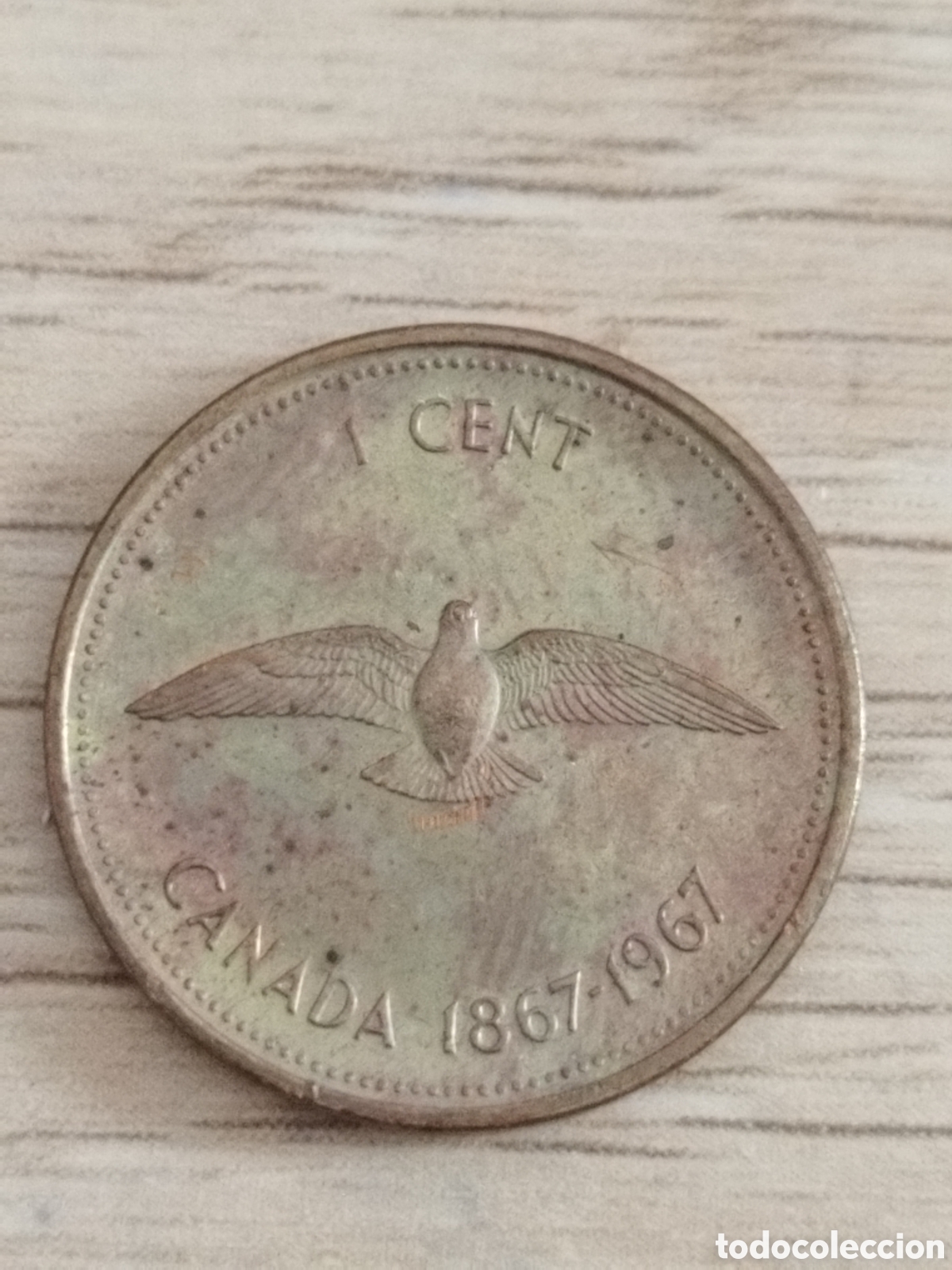 Monete antiche di America: Canad&aacute; moneda conmemorativa de 1 centavo de 1967 km#65