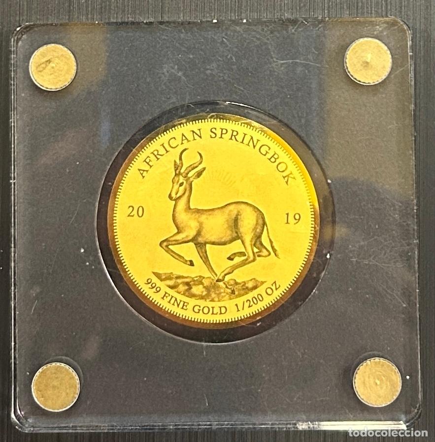 Monedas antiguas de Am&eacute;rica: CRBAN999 MONEDA AFRICAN SPRINGBOK 2019 ORO 1/200 OZ 999