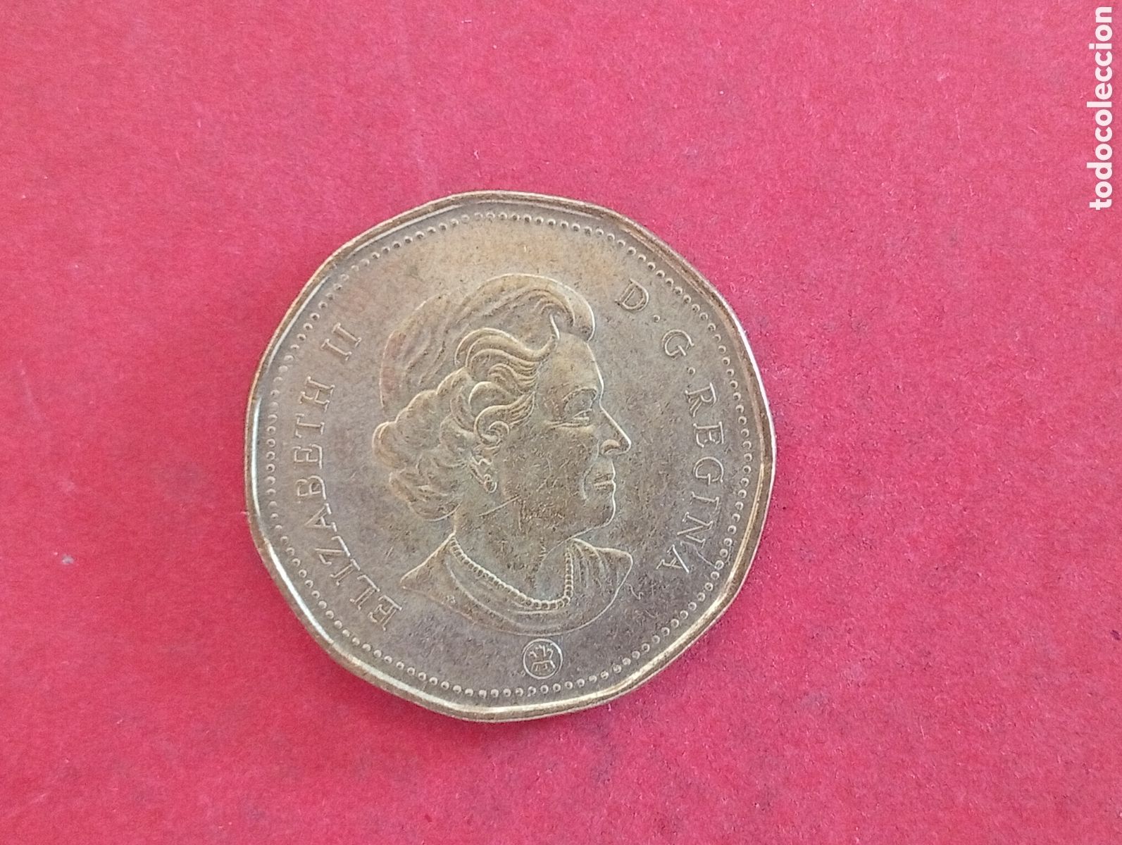 Monedas antiguas de Am&eacute;rica: 1 dolar de Canad&aacute; 2009 conmemorativa - Foto 2